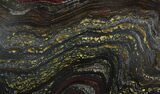 Gorgeous Tiger Iron Stromatolite - ( Billion Years) #22496-1